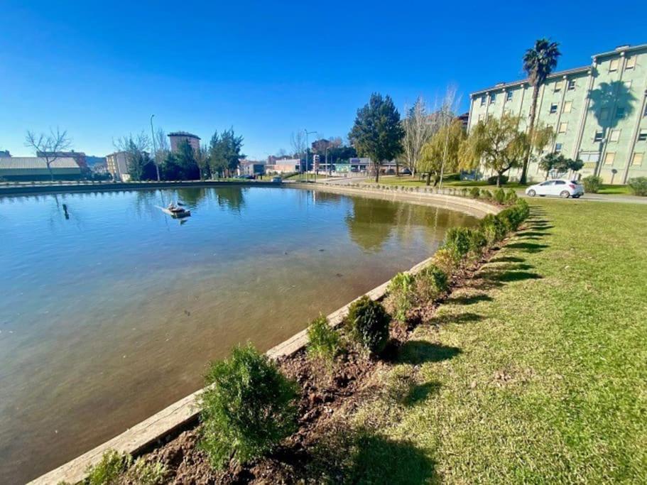 Apartamento Renovado No Centro Da Cidade - Casa4 Coimbra Zewnętrze zdjęcie